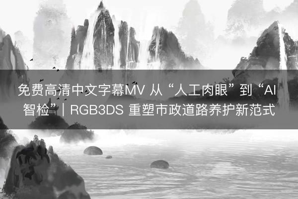免费高清中文字幕MV 从 “人工肉眼” 到 “AI 智检”｜RGB3DS 重塑市政道路养护新范式