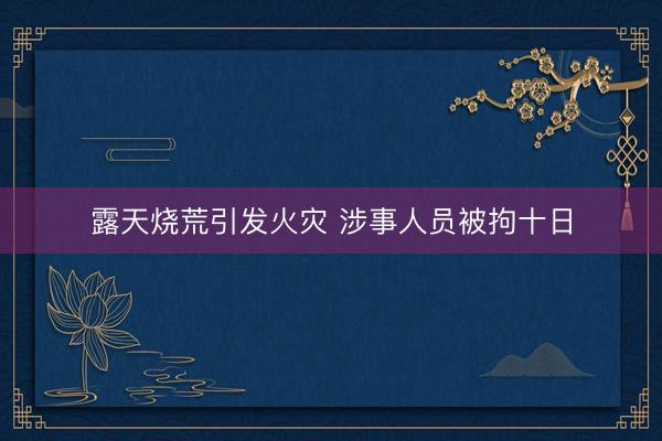 露天烧荒引发火灾 涉事人员被拘十日