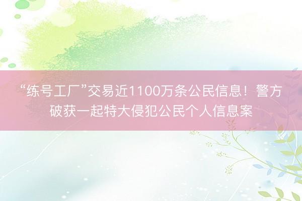 “练号工厂”交易近1100万条公民信息！警方破获一起特大侵犯公民个人信息案