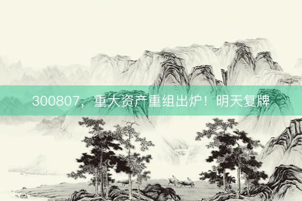 300807，重大资产重组出炉！明天复牌