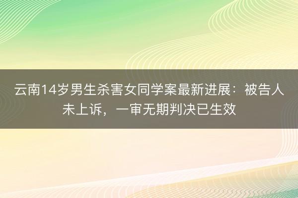 云南14岁男生杀害女同学案最新进展：被告人未上诉，一审无期判决已生效