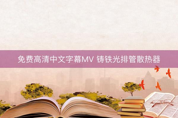 免费高清中文字幕MV 铸铁光排管散热器