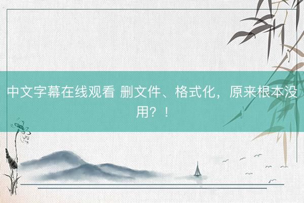 中文字幕在线观看 删文件、格式化，原来根本没用？！