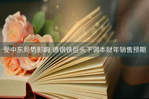 受中东局势影响 德钢铁巨头下调本财年销售预期