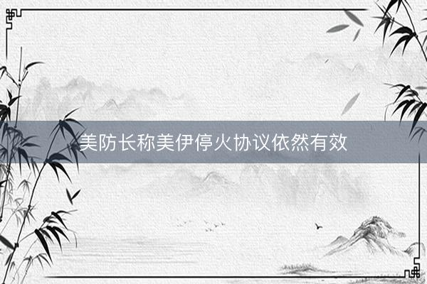 美防长称美伊停火协议依然有效