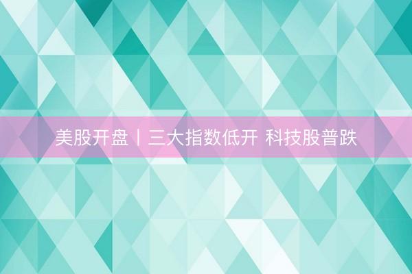 美股开盘丨三大指数低开 科技股普跌