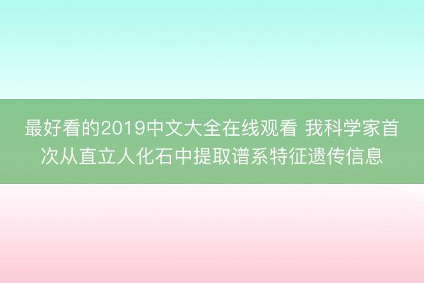 最好看的2019中文大全在线观看 我科学家首次从直立人化石中提取谱系特征遗传信息