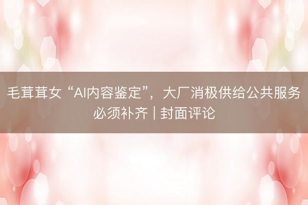 毛茸茸女 “AI内容鉴定”，大厂消极供给公共服务必须补齐 | 封面评论