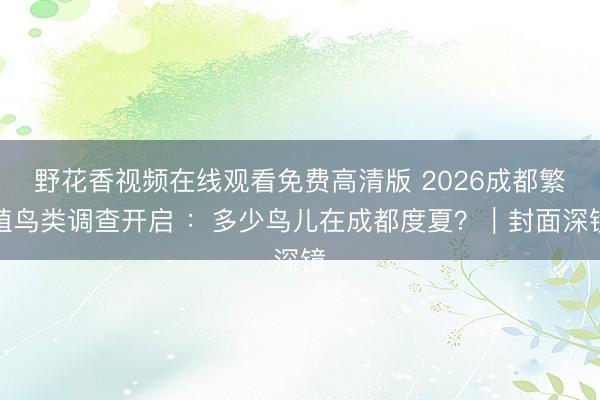 野花香视频在线观看免费高清版 2026成都繁殖鸟类调查开启 :多少鸟儿在成都度夏?|封面深镜