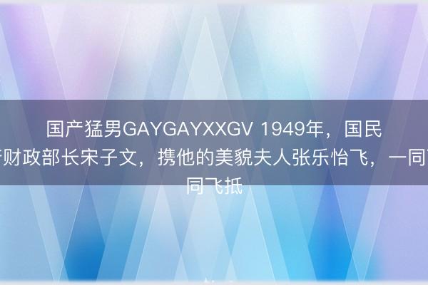 国产猛男GAYGAYXXGV 1949年，国民政府财政部长宋子文，携他的美貌夫人张乐怡飞，一同飞抵