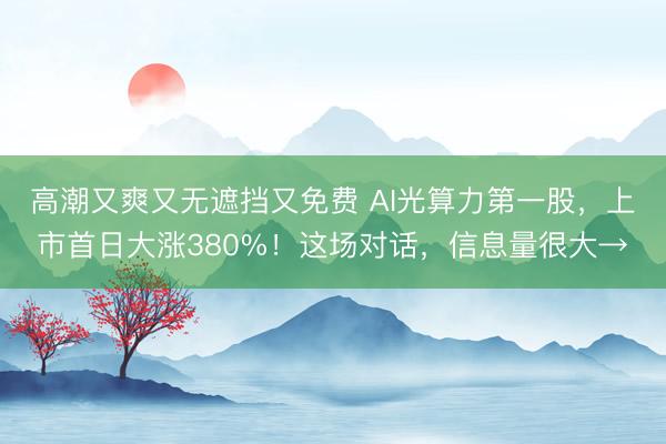 高潮又爽又无遮挡又免费 AI光算力第一股，上市首日大涨380%！这场对话，信息量很大→