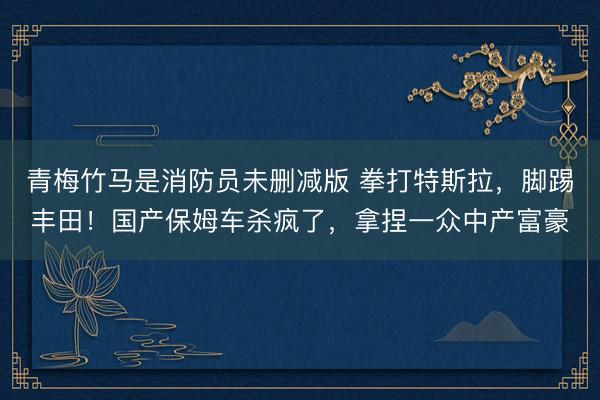 青梅竹马是消防员未删减版 拳打特斯拉,脚踢丰田!国产保姆车杀疯了,拿捏一众中产富豪