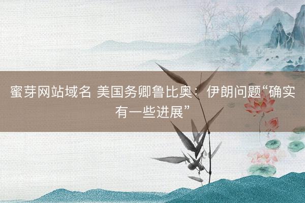 蜜芽网站域名 美国务卿鲁比奥：伊朗问题“确实有一些进展”