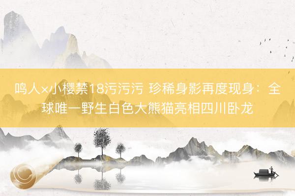 鸣人×小樱禁18污污污 珍稀身影再度现身:全球唯一野生白色大熊猫亮相四川卧龙