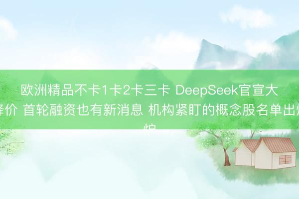 欧洲精品不卡1卡2卡三卡 DeepSeek官宣大降价 首轮融资也有新消息 机构紧盯的概念股名单出炉