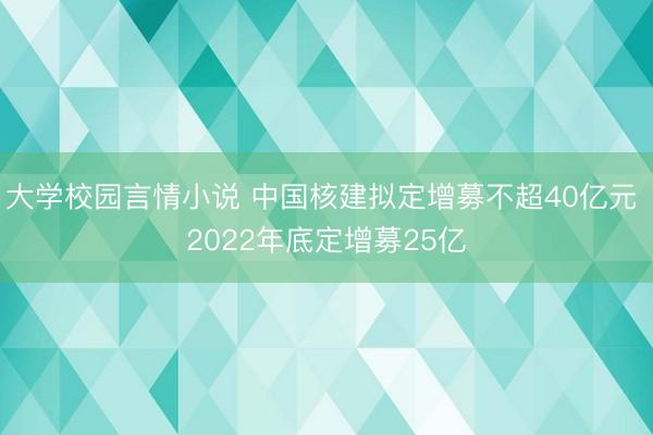 大学校园言情小说 中国核建拟定增募不超40亿元 2022年底定增募25亿
