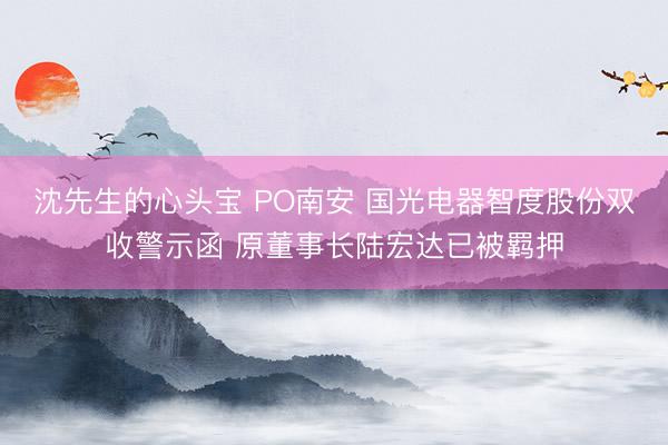 沈先生的心头宝 PO南安 国光电器智度股份双收警示函 原董事长陆宏达已被羁押