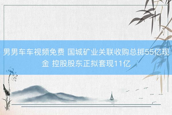 男男车车视频免费 国城矿业关联收购总掷55亿现金 控股股东正拟套现11亿