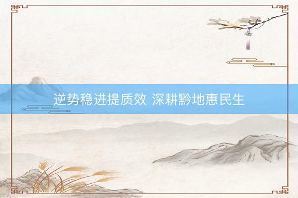 逆势稳进提质效 深耕黔地惠民生