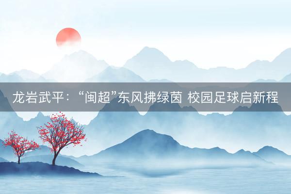 龙岩武平：“闽超”东风拂绿茵 校园足球启新程