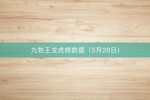 九牧王龙虎榜数据（5月28日）