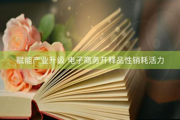 赋能产业升级 电子商务开释品性销耗活力