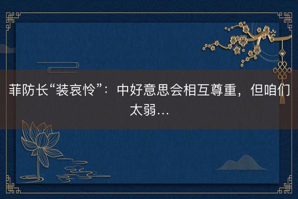 菲防长“装哀怜”：中好意思会相互尊重，但咱们太弱…