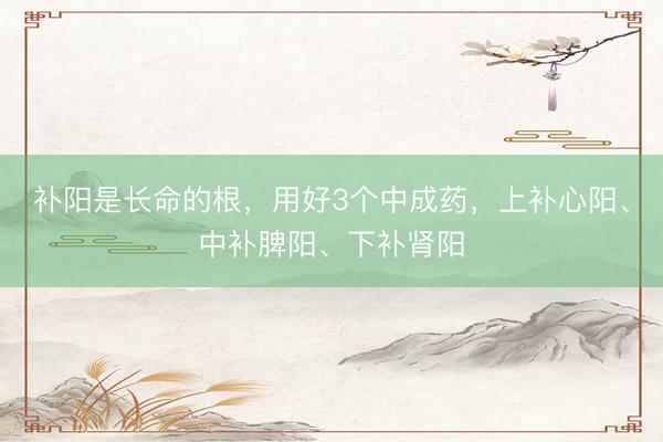 补阳是长命的根,用好3个中成药,上补心阳、中补脾阳、下补肾阳