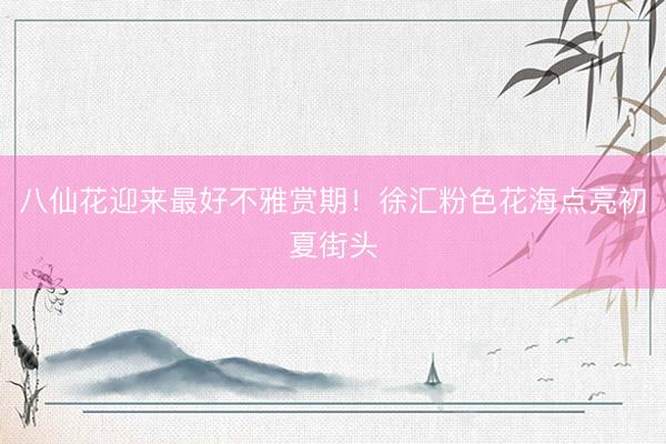 八仙花迎来最好不雅赏期！徐汇粉色花海点亮初夏街头