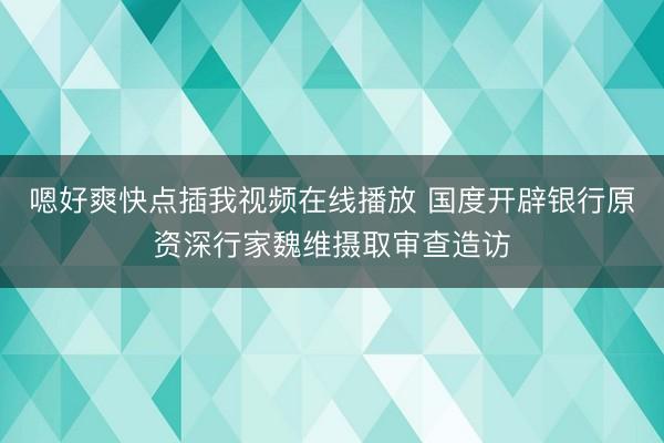 嗯好爽快点插我视频在线播放 国度开辟银行原资深行家魏维摄取审查造访