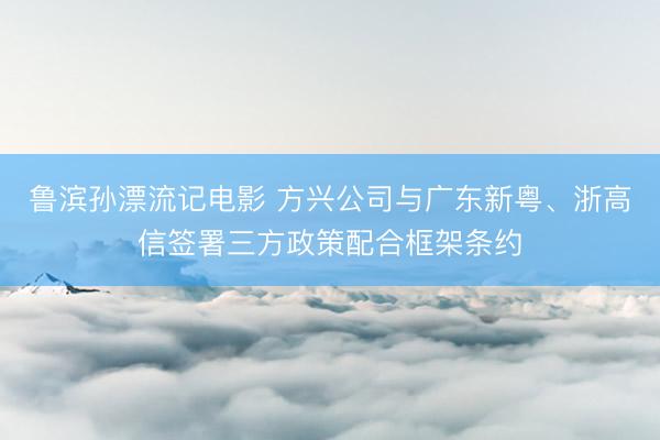 鲁滨孙漂流记电影 方兴公司与广东新粤、浙高信签署三方政策配合框架条约