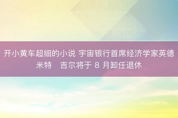 开小黄车超细的小说 宇宙银行首席经济学家英德米特・吉尔将于 8 月卸任退休