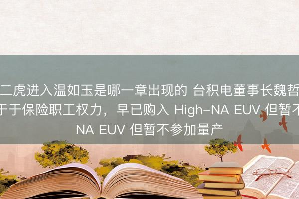 二虎进入温如玉是哪一章出现的 台积电董事长魏哲家称悉力于于保险职工权力,早已购入 High-NA EUV 但暂不参加量产