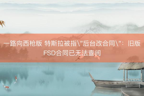 一路向西枪版 特斯拉被指