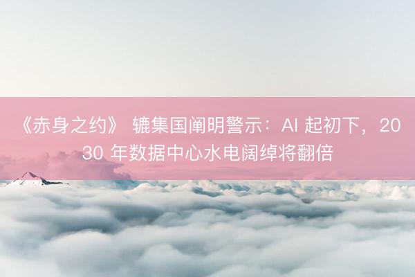 《赤身之约》 辘集国阐明警示：AI 起初下，2030 年数据中心水电阔绰将翻倍
