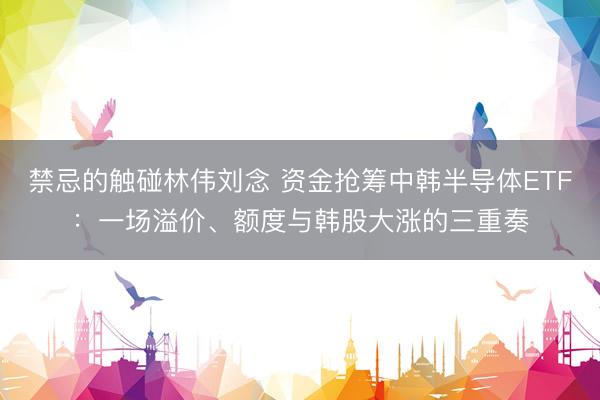 禁忌的触碰林伟刘念 资金抢筹中韩半导体ETF：一场溢价、额度与韩股大涨的三重奏