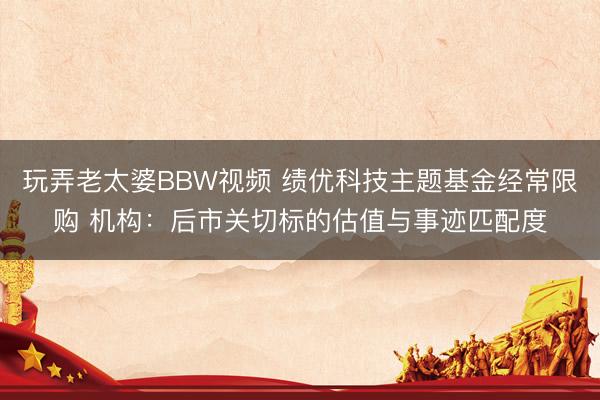 玩弄老太婆BBW视频 绩优科技主题基金经常限购 机构：后市关切标的估值与事迹匹配度
