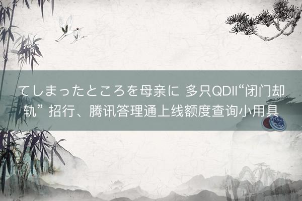 てしまったところを母亲に 多只QDII“闭门却轨” 招行、腾讯答理通上线额度查询小用具