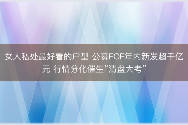 女人私处最好看的户型 公募FOF年内新发超千亿元 行情分化催生“清盘大考”
