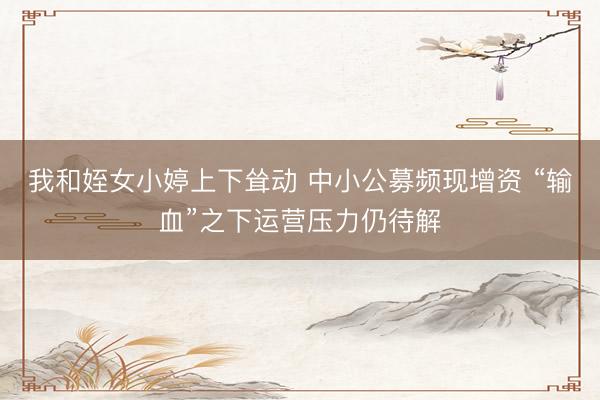 我和姪女小婷上下耸动 中小公募频现增资 “输血”之下运营压力仍待解