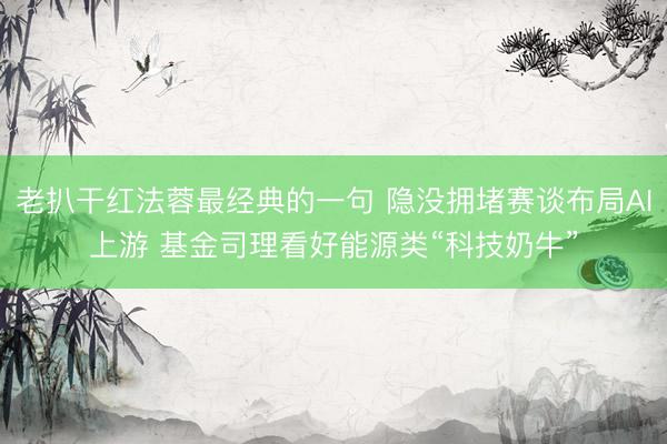 老扒干红法蓉最经典的一句 隐没拥堵赛谈布局AI上游 基金司理看好能源类“科技奶牛”