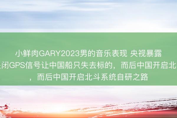 小鲜肉GARY2023男的音乐表现 央视暴露：好意思国曾关闭GPS信号让中国船只失去标的，而后中国开启北斗系统自研之路