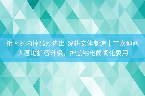 粗大的内捧猛烈进出 深耕实体制造｜宁嘉迪两大基地扩容升级，护航钠电阛阓化委用