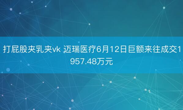 打屁股夹乳夹vk 迈瑞医疗6月12日巨额来往成交1957.48万元