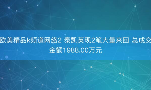 欧美精品k频道网络2 泰凯英现2笔大量来回 总成交金额1988.00万元