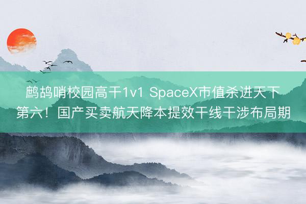 鹧鸪哨校园高干1v1 SpaceX市值杀进天下第六！国产买卖航天降本提效干线干涉布局期