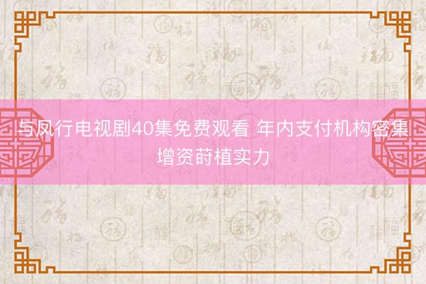 与凤行电视剧40集免费观看 年内支付机构密集增资莳植实力