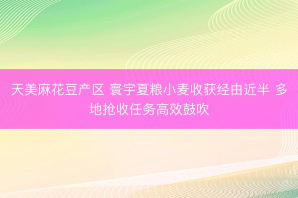 天美麻花豆产区 寰宇夏粮小麦收获经由近半 多地抢收任务高效鼓吹
