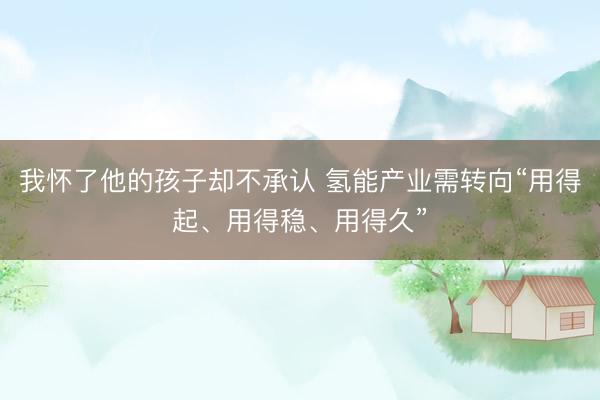 我怀了他的孩子却不承认 氢能产业需转向“用得起、用得稳、用得久”