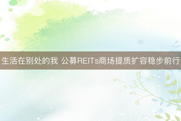 生活在别处的我 公募REITs商场提质扩容稳步前行